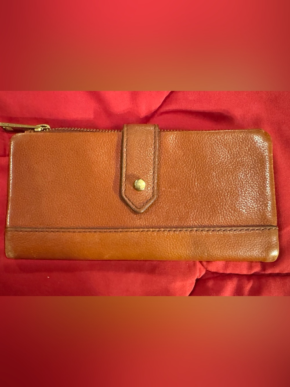 Fossil Lainie Leather Clutch Wallet with Gold-Tone Zipper Pull